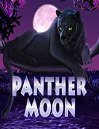 วิธีเล่น ฝาก ถอน ออ โต้ วอ ล เล็ ต แบบมือโปร